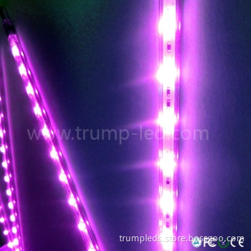 Customized Magic Color SMD 5050 Rigid LED Strip Light